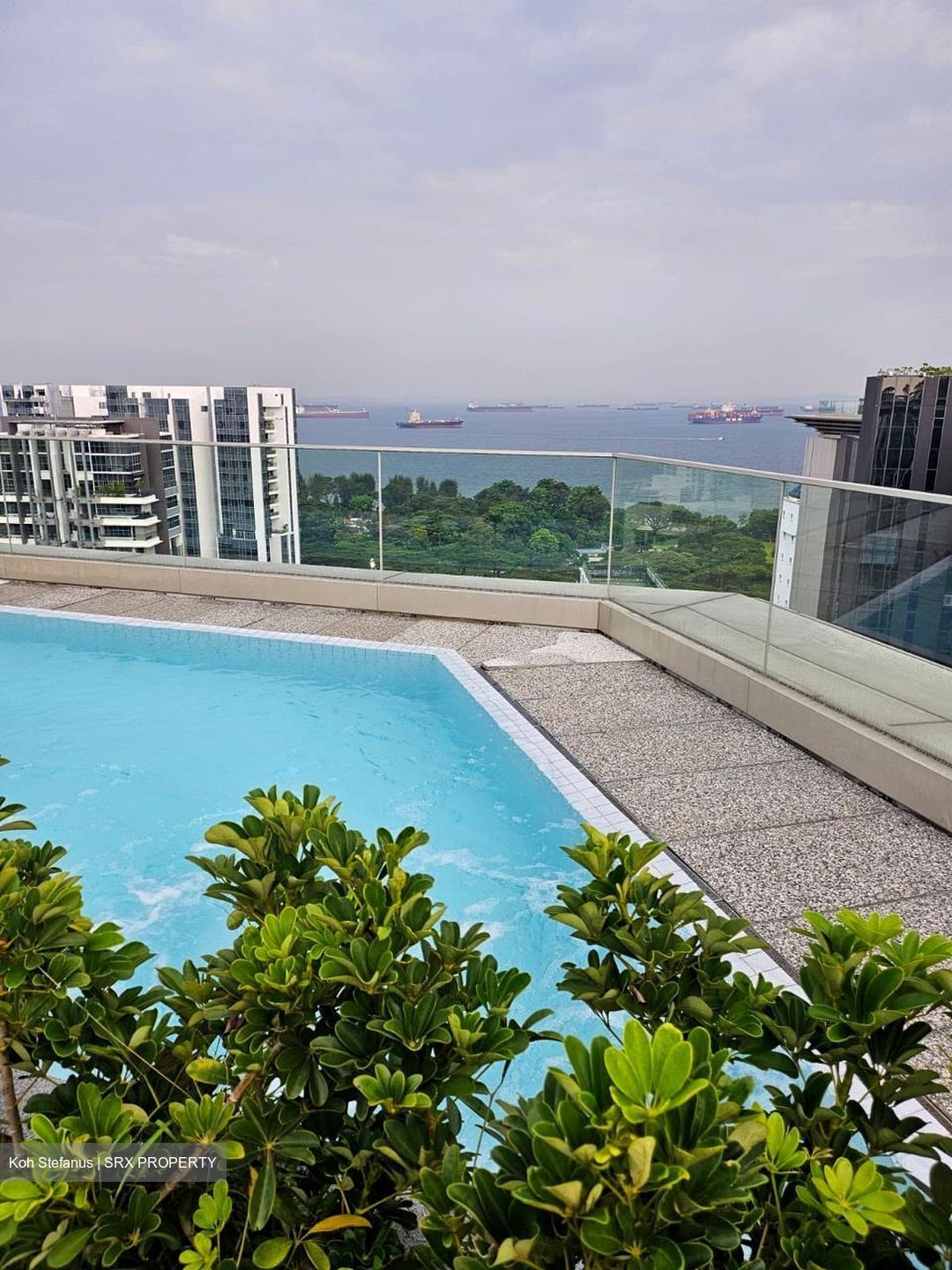 Amber Park (D15), Condominium #487223161